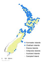 Asplenium oblongifolium distribution map based on databased records at AK, CHR, OTA & WELT.
 Image: K. Boardman © Landcare Research 2017 CC BY 3.0 NZ